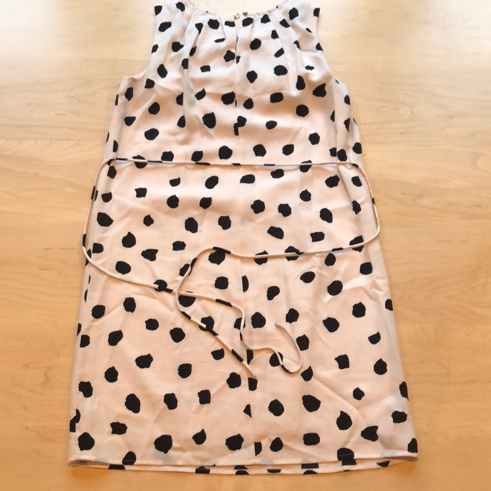 Loft polka dot dress - 4